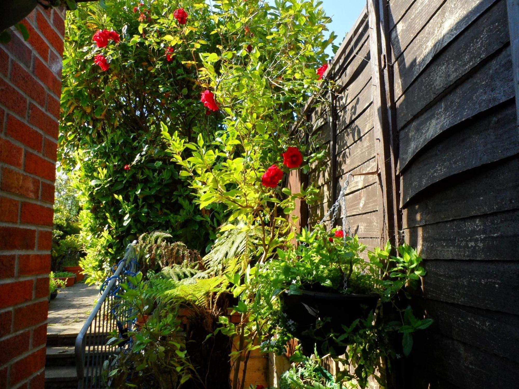 Galway Guest House Weymouth Exterior foto